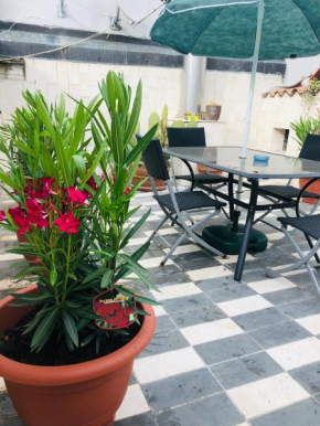 Sophia Center Loft Verona